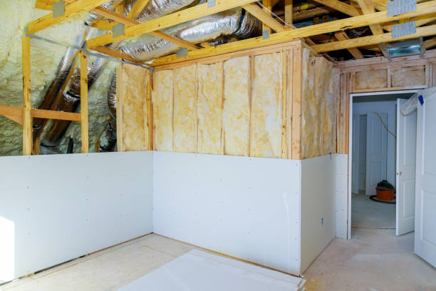 Best Insulation Contractor Near Me  in Chapel Hill, NC