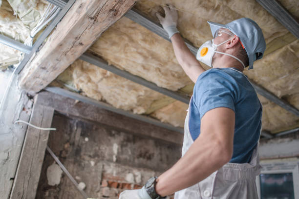 Best Insulation Replacement Services  in Chapel Hill, NC