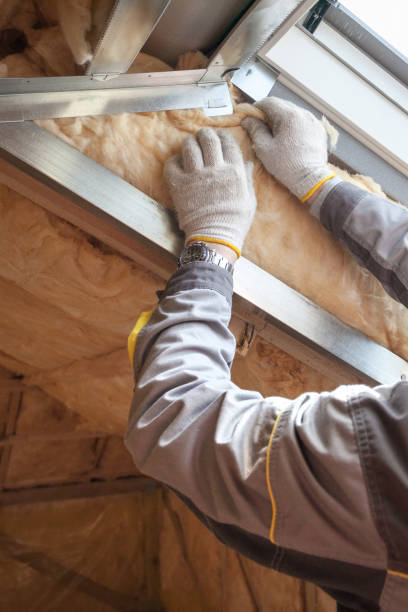 Best Residential Insulation Services  in Chapel Hill, NC