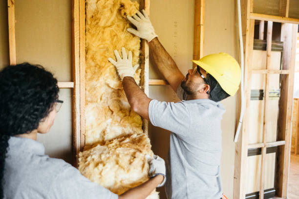Best Insulation for Commercial Buildings  in Chapel Hill, NC