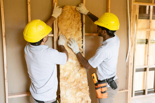 Best Insulation Inspection Services  in Chapel Hill, NC