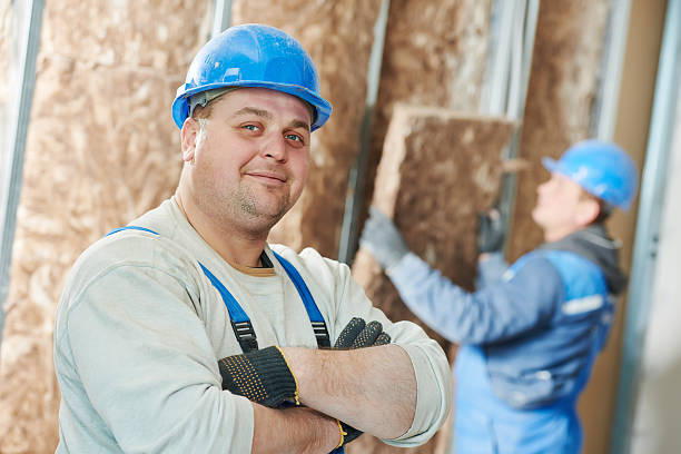 Best Insulation Inspection Services  in Chapel Hill, NC
